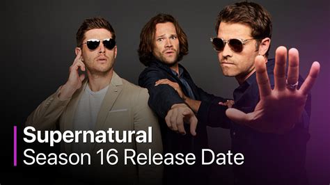 supernatural season 16 confirmed|supernatural season 16 update.